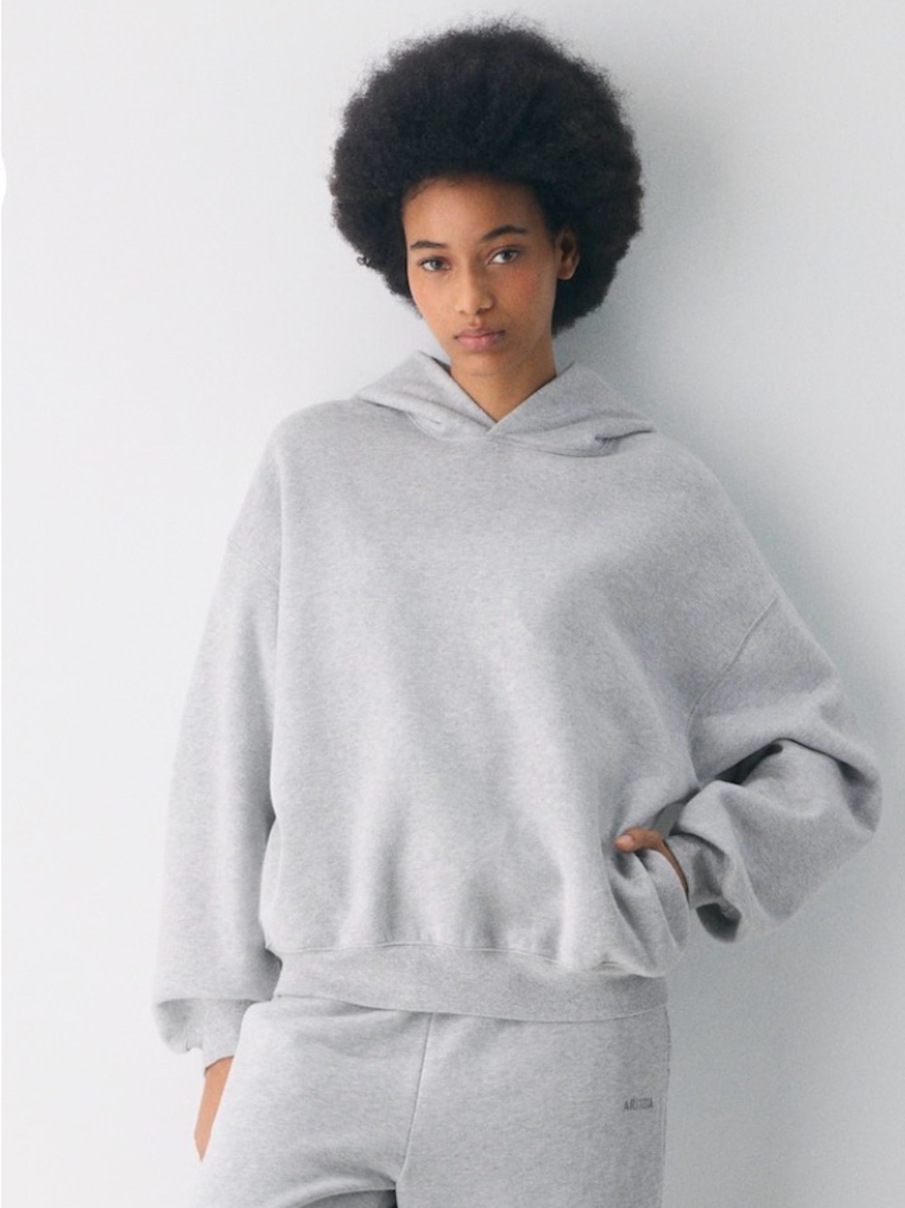 Aritzia sweat fleece mega fit hoodie grey small